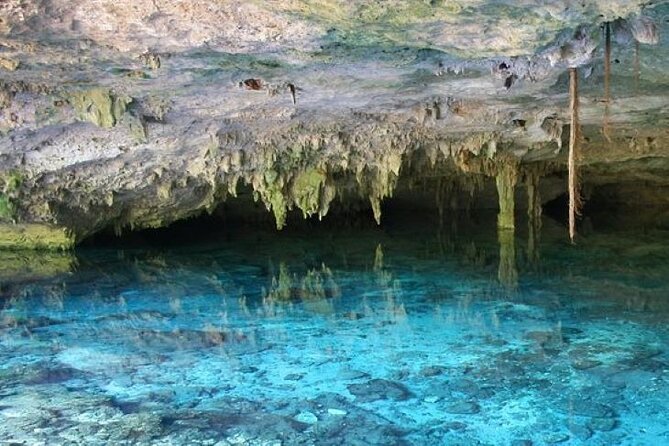 Half Day Semiprivate Snorkeling with Turtles and Majestic Cenote - Akumal Bay: turtles from a small boat