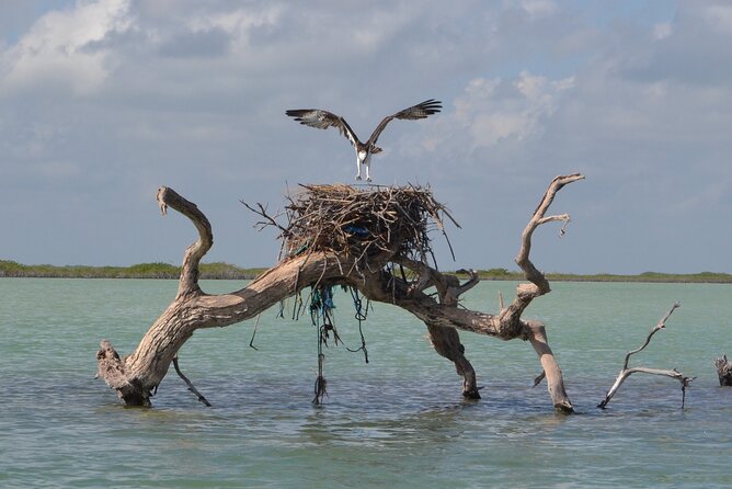 Half-Day Tour Discovering Sian Ka´an with Lunch - Why Sian Ka’an works best by boat