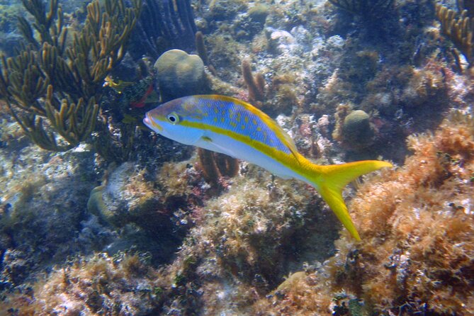 Half-Day Tour Discovering Sian Ka´an with Lunch - Boca Paila and the question of snorkeling