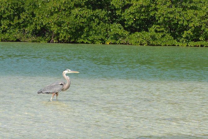 Half-Day Tour Discovering Sian Ka´an with Lunch - Is $204 a fair price?