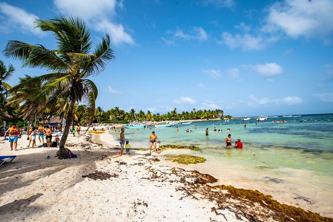 Half Day Tour: Turtles Encounter in Akumal Beach - What the price really covers