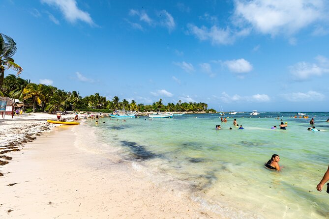 Half Day Tour: Turtles Encounter in Akumal Beach - The people who will enjoy this most