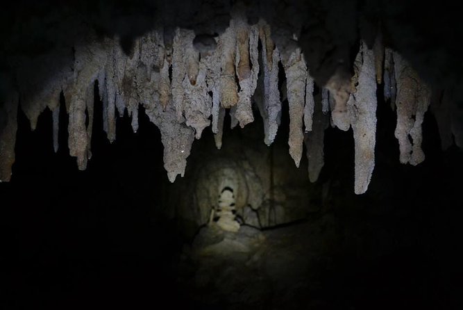 Hidden Cenote exploration in Playa del Carmen - Timing, pickup, and the value of the package