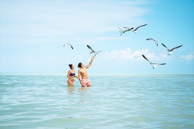 Holbox Island Adventure from Riviera Maya - Yalahau Lagoon: a cool swim in a jungle setting