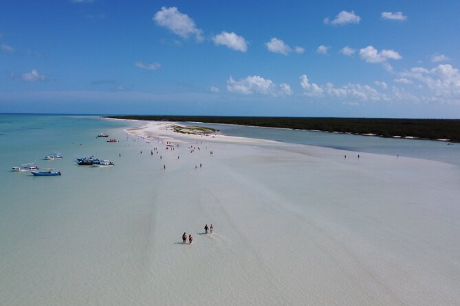 Holbox island: Boat tour & golf cart ride, Lunch and open bar - Key points to know before booking