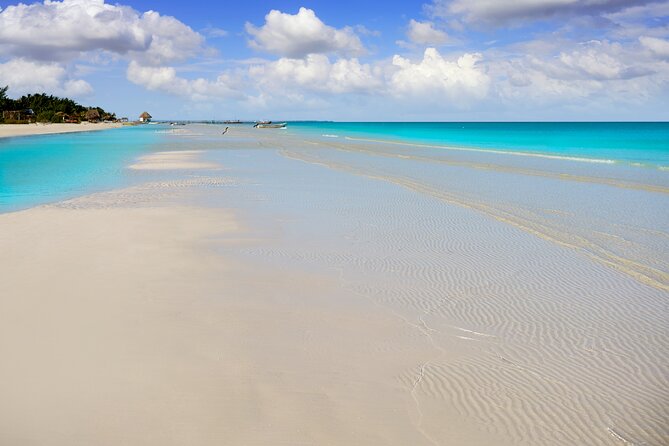 Holbox island: Boat tour & golf cart ride, Lunch and open bar - What the price includes, and what needs clarification