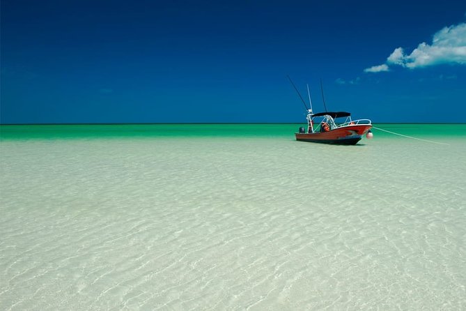 Holbox Island Full Day Trip with Lunch From Playa del Carmen - Free time in Holbox village