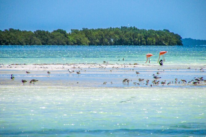 Holbox Island Tour in Mexico with Lunch - Why Holbox makes a worthwhile long day from Playa del Carmen