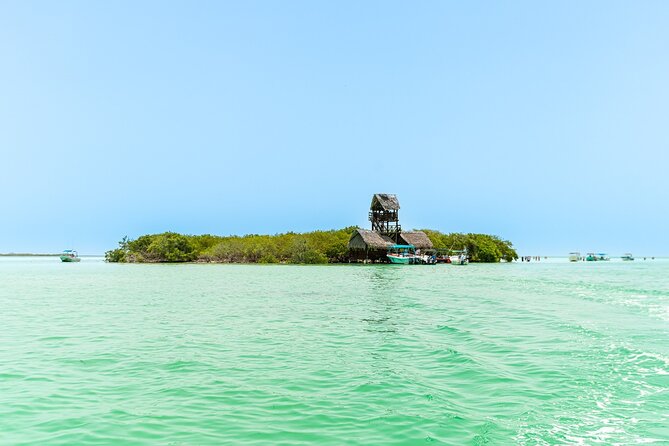 Holbox Island Tour with Pasion Island and Punta Mosquito - Wildlife, weather, and what you can really expect