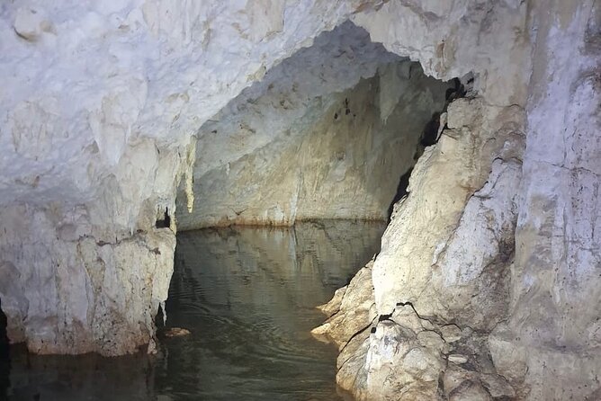 Horse Ride to Cenote Mil Columnas - Meeting at CDN Tours near Cenote Dos Ojos