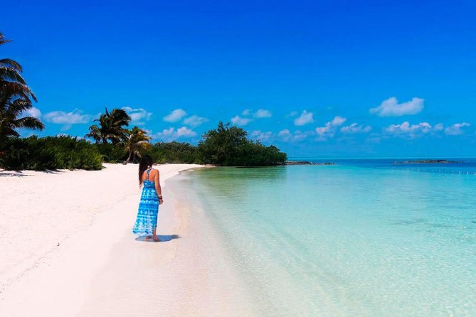 Isla Contoy Adventure Tour & Isla Mujeres from Playa del Carmen - Why Isla Contoy is the main event