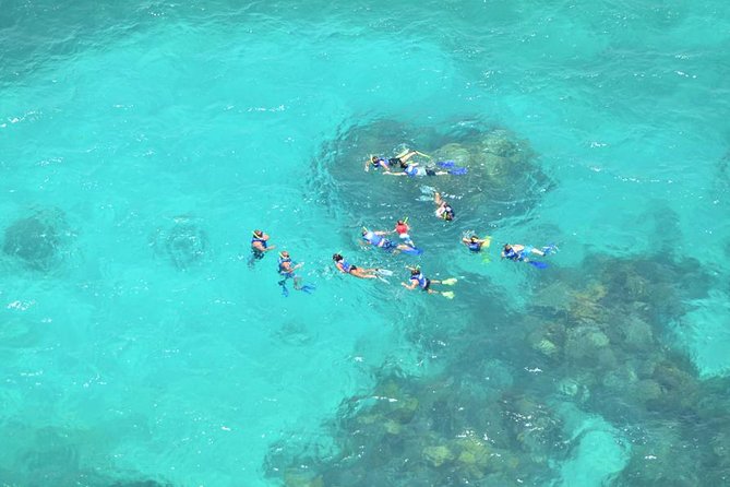 Isla Contoy Adventure Tour & Isla Mujeres from Playa del Carmen - Is the price good value?