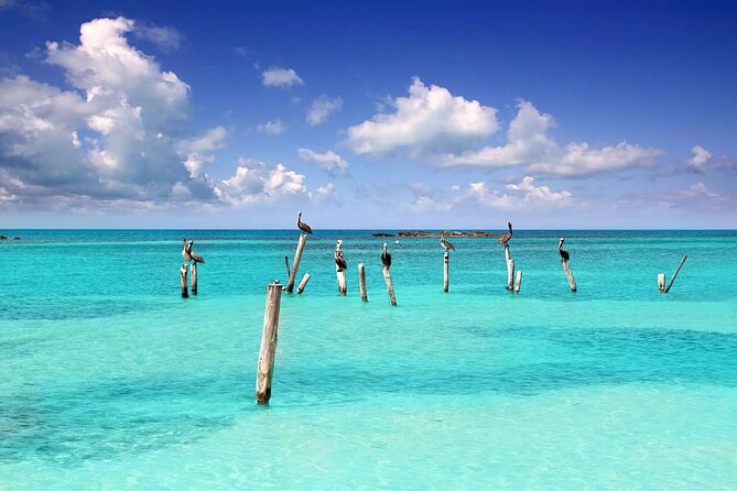 Isla Contoy Adventure Tour & Isla Mujeres from Playa del Carmen - Who should book this island combination?