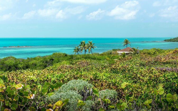 Isla Contoy Hidden Beauty! Transportation from Riviera Maya - Key points to know before booking