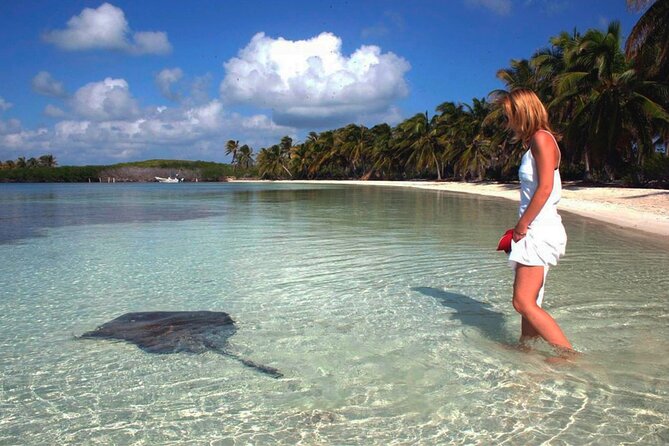 Isla Contoy Hidden Beauty! Transportation from Riviera Maya - A quick hour on Isla Mujeres