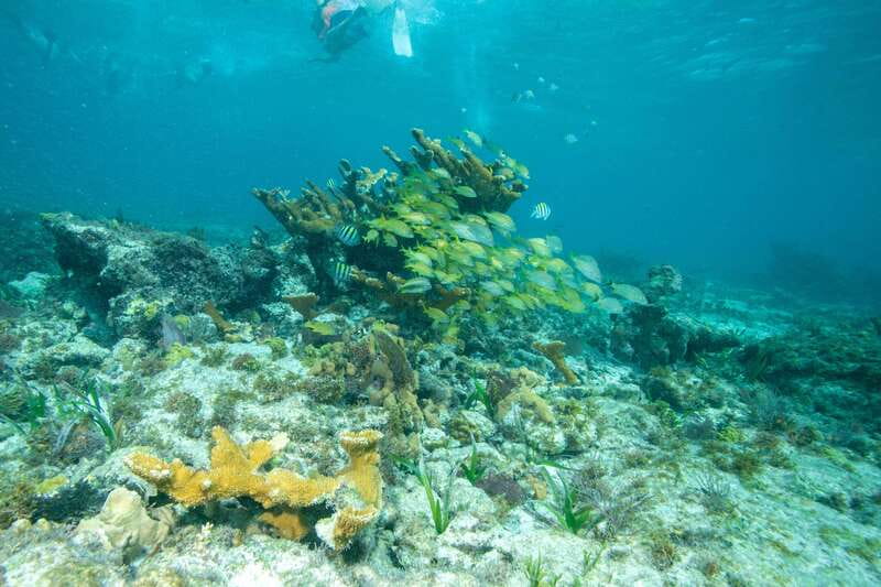 Isla Mujeres: Full Day Private Catamaran with Snorkeling - A private catamaran built for groups