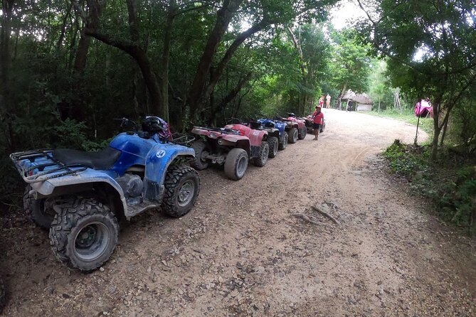 Jungle ATV Adventure: Unveiling Akumal's Enchanting Cenotes - From Tulum to Akumal by air-conditioned van