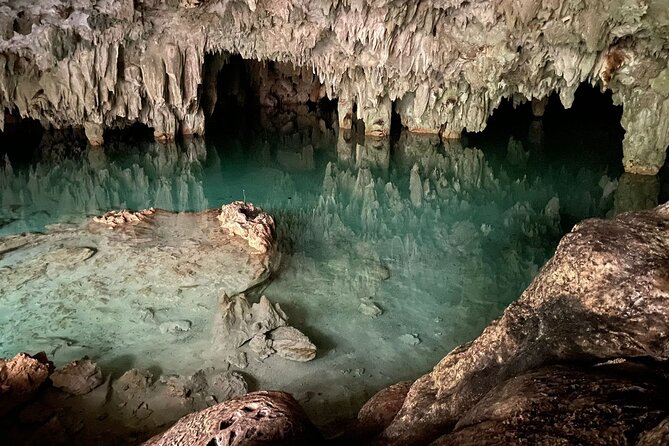 Jungle ATV Adventure: Unveiling Akumal's Enchanting Cenotes - A wildlife-only cenote and a quiet cave swim