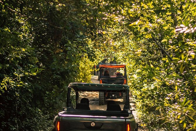 Jungle Buggy Day Tour - My Take: Book It for the Mix, Not the Speed