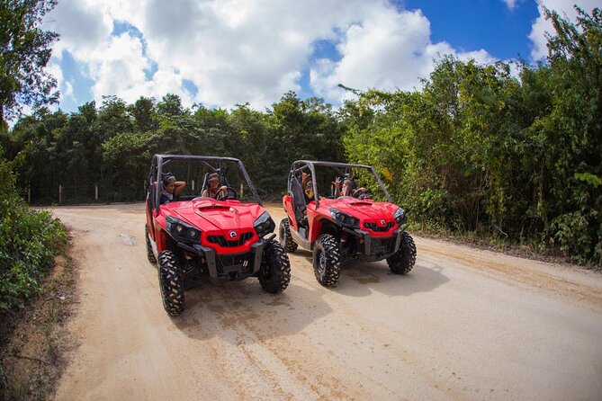 Jungle Buggy Tour from Playa del Carmen Including Cenote Swim - Why the jungle drive is the main event