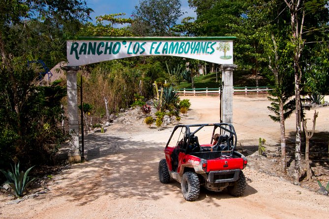 Jungle Buggy Tour from Playa del Carmen Including Cenote Swim - The cenote stop is the quiet counterpoint