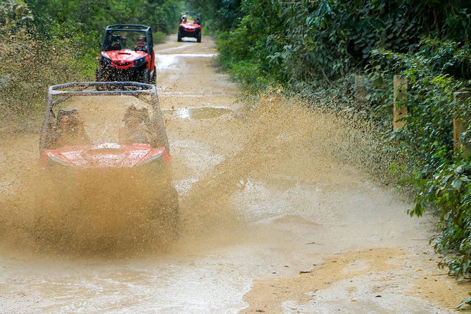 Jungle Buggy Tour from Playa del Carmen Including Cenote Swim - Photos, guides, and the human side of the tour