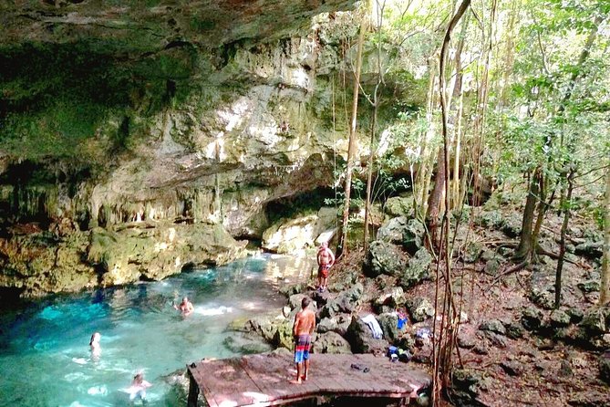 Jungle Buggy Tour from Playa del Carmen Including Cenote Swim - Who should book this Playa del Carmen tour?