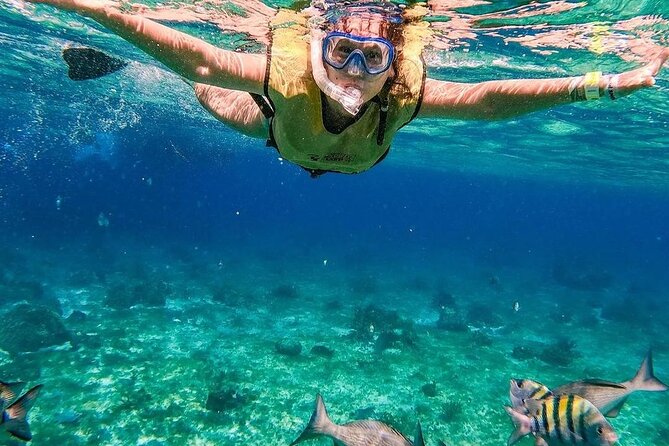 Kaan Luum Lagoon and Cenote Snorkel Tour in Tulum - Playa Maya reef snorkeling