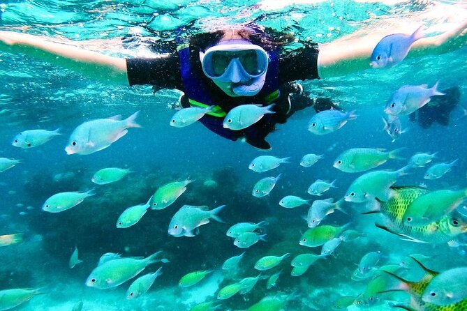 Kaan Luum Lagoon and Cenote Snorkel Tour in Tulum - Food, water, and what to bring