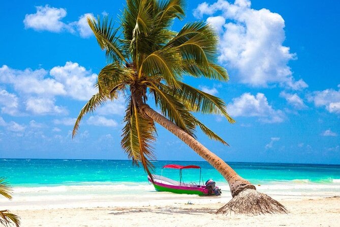 Kaan Luum Lagoon, Cenote Zacil Ha & Cenote Zemway Tour from Tulum - Lunch, photos, and the value of the $140 price