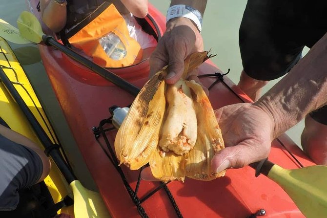 Kayak Sian Ka’an Biosphere Reserve Sunset Tour - Reaching the reserve from Tulum