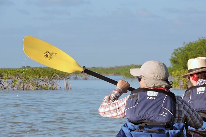 Kayak Sian Ka’an Biosphere Reserve Sunset Tour - Through the mangrove maze