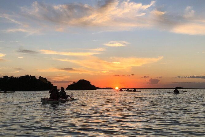 Kayak Sian Ka’an Experience - What happens at Sian Ka’an Biosphere Reserve