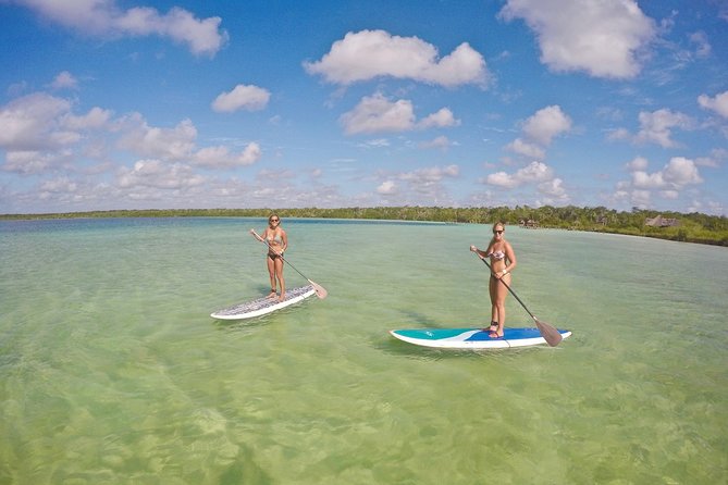 Lagoon Paddleboarding Tour in Tulum - Learning the basics before heading around the lagoon