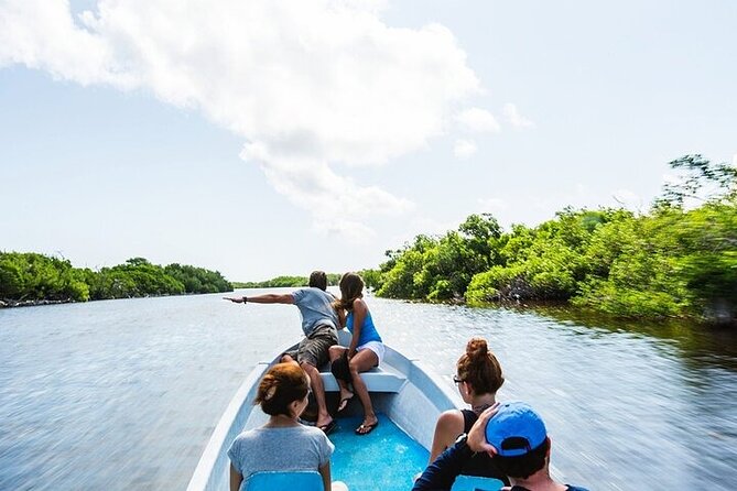 Las Coloradas & Rio Lagartos Biosphere! Transportation from Playa Del Carmen - Cruising the Rio Lagartos wetlands
