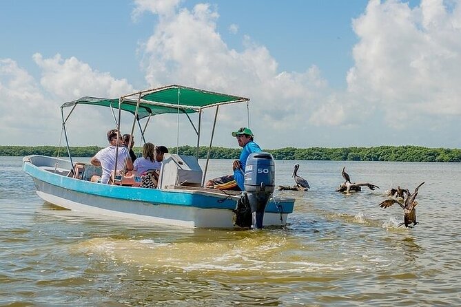 Las Coloradas & Rio Lagartos Biosphere! Transportation from Playa Del Carmen - How the $131 price stacks up