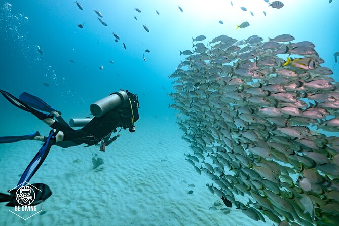 Local Dive in Playa del Carmen - Two underwater sessions from central Playa del Carmen