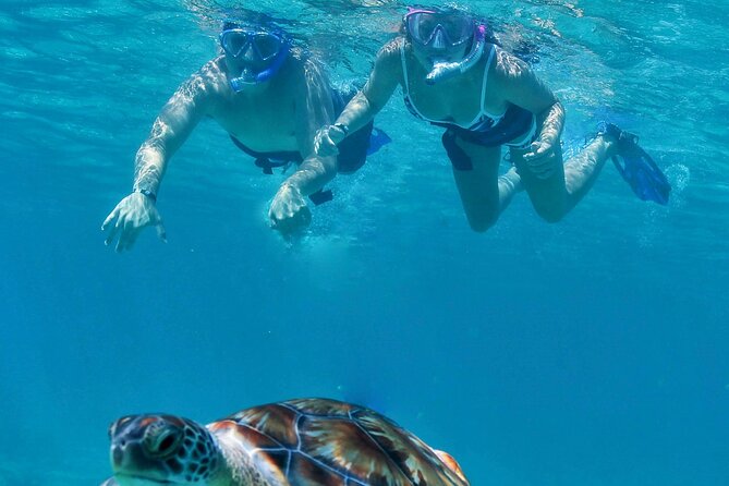 Luxury Sailing & Snorkeling Experience from Riviera Maya - Reaching the reef and getting in the water