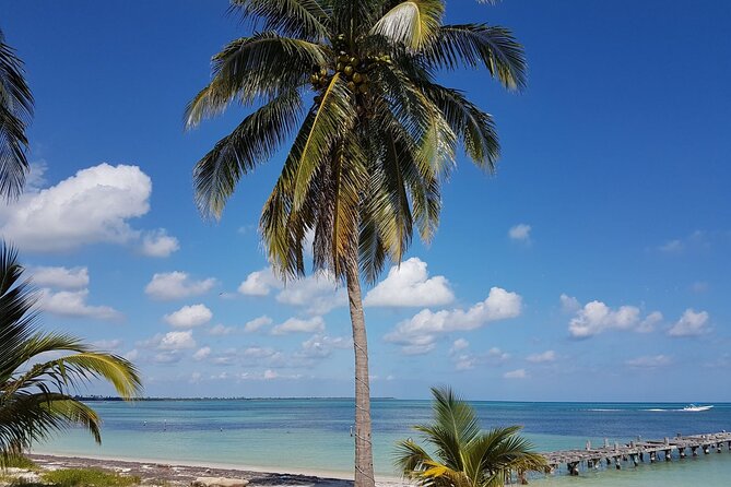 Magic Sian ka'an Deluxe two boats - From Tulum to the Campechen lagoon