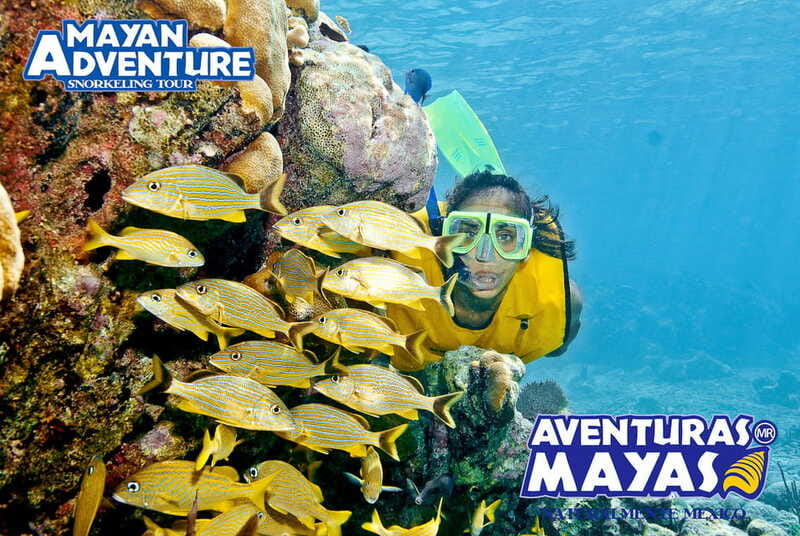 Mayan Adventure - 3 different snorkeling sites in one day! - The lagoon stop and what to expect in open water