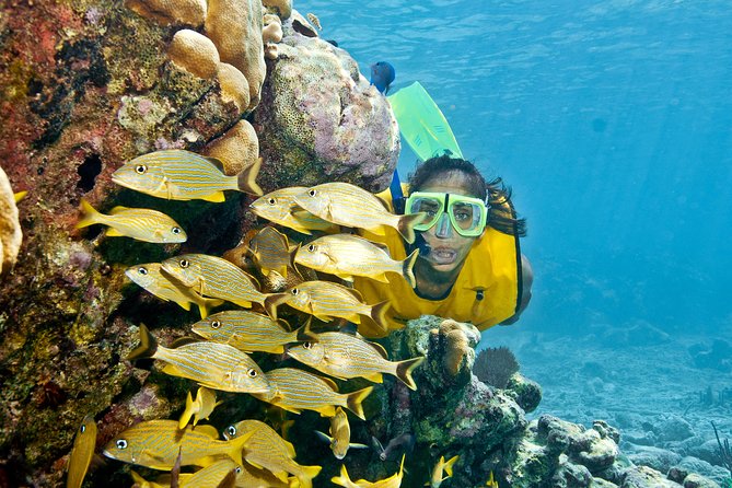 Mayan Adventure Snorkeling Tour from Playa del Carmen or Riviera Maya - Three waters, one long day