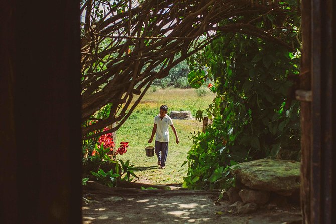 Mayan Backroads Private Bike Tour from Tulum - Punta Laguna: monkeys, canoeing, and a short zip line