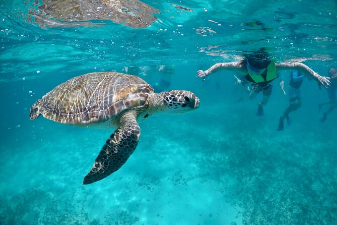 Mayan snorkeling (Akumal-Cenote-Caverna) - Key points to know before you book
