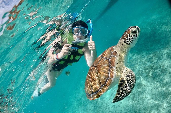 Mayan snorkeling (Akumal-Cenote-Caverna) - Timing, transport, and physical demands