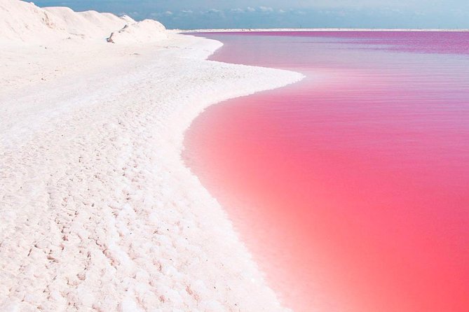 Natural Pink Lake Tour Las Coloradas only from Playa del Carmen - Las Coloradas is a salt lagoon, not a beach