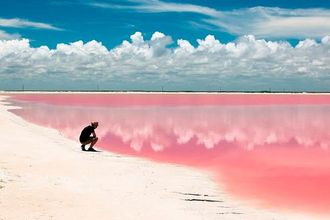 Natural Pink Lake Tour Las Coloradas only from Playa del Carmen - What the $137 price really covers