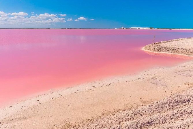 Natural Pink Lake Tour Las Coloradas only from Playa del Carmen - Pickup details need careful attention