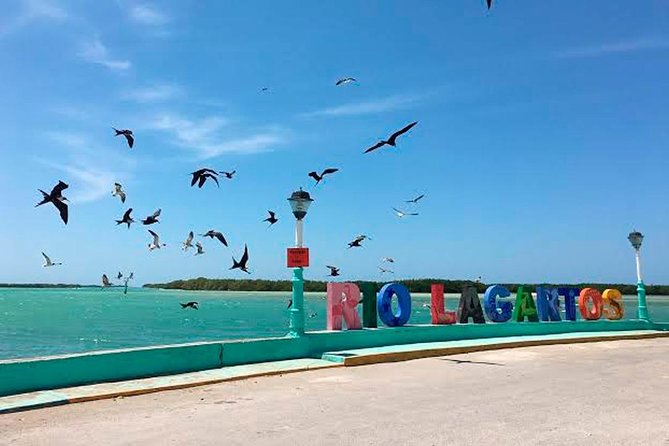 Natural Pink Lake Tour Las Coloradas only from Playa del Carmen - Meals keep the day moving