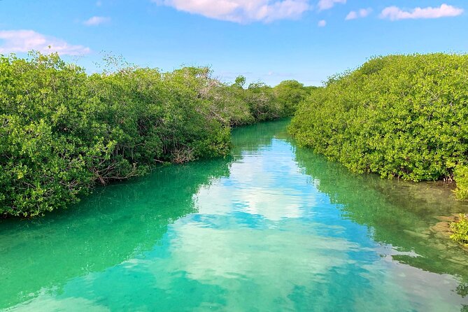 Nature Day, Sian Kaan Biosphere Tour! Round Transportation from Tulum City - Leaving Tulum at 7:30 am