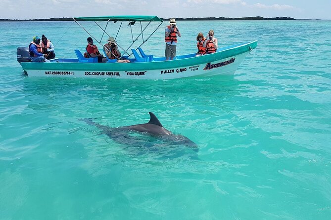Nature Day, Sian Kaan Biosphere Tour! Round Transportation from Tulum City - A three-hour boat search for local wildlife